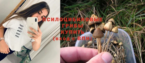 мескалин Горно-Алтайск